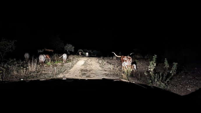 PXL_20230919_015201514