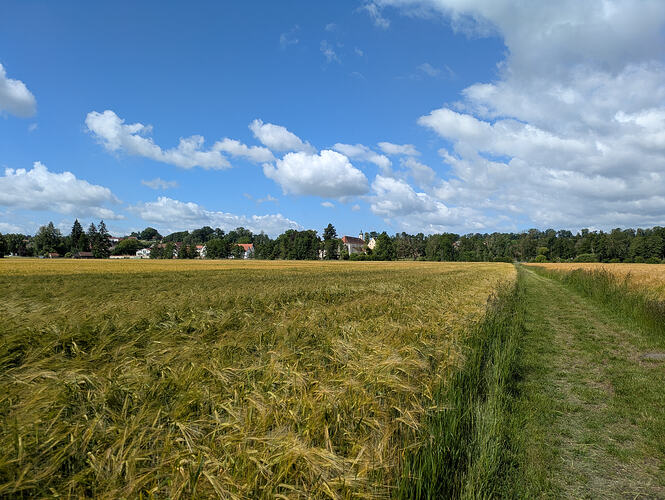 PXL_20260613_081623630