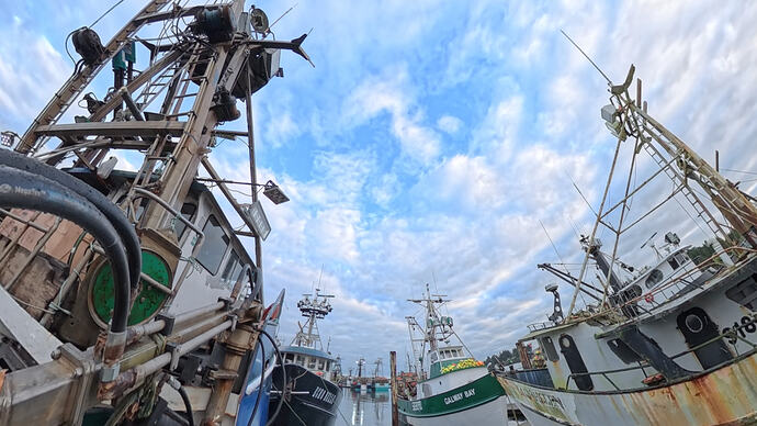 VID_20251211_083827_00_010_2026-02-01_10-06-00_screenshot