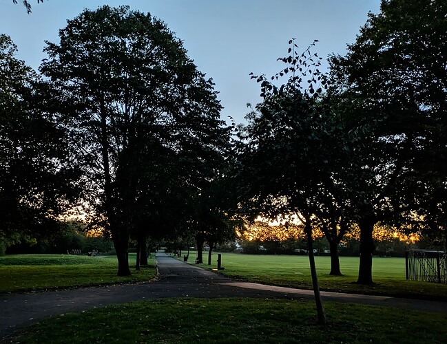 PXL_20250912_050417279.MP~4