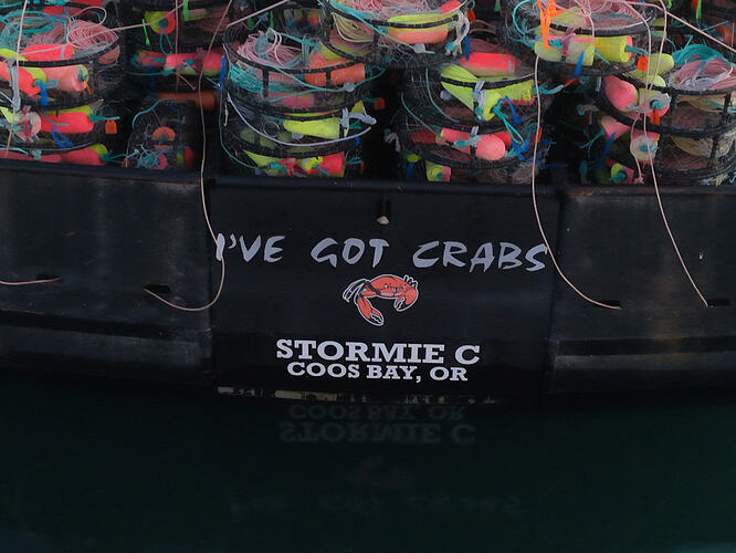 DJI_20251211165922_0380_D