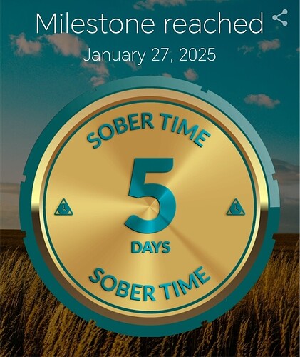 Screenshot_20250127_132433_com_sociosoft_sobertime_MainActivity