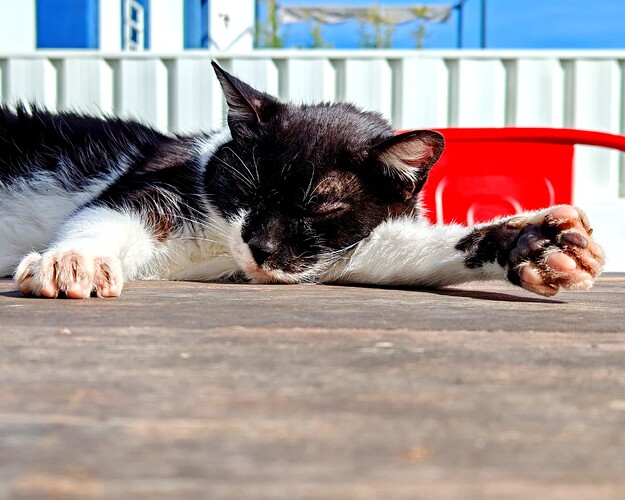 IMG_20250223_143230_edit_1087164098202257