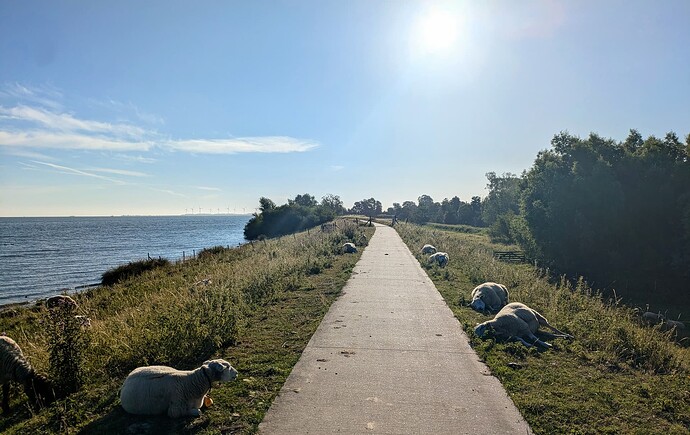 PXL_20250630_054715583