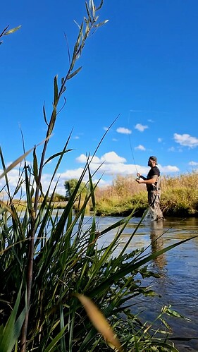 Screenshot_20251001_161925_Video Player