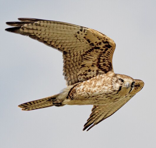 Screenshot_20250831_191419_Instagram