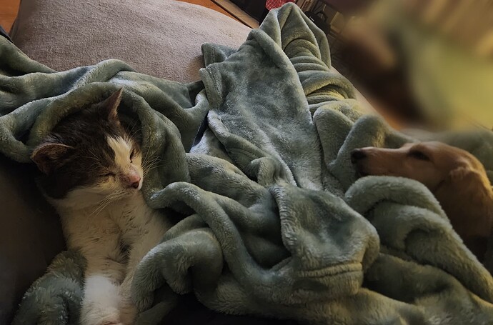 AirBrush_20260101233733