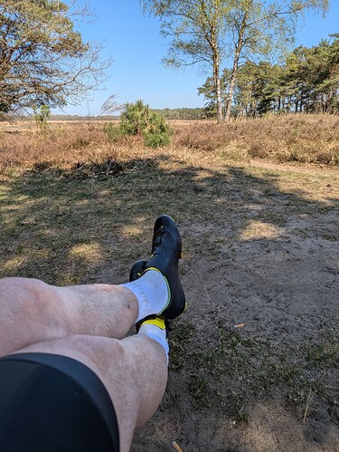 PXL_20250412_124053980