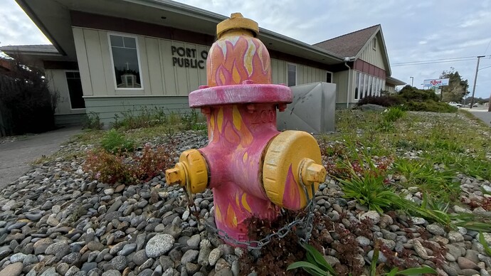 IMG_20250425_163541_00_006_2025-04-26_01-51-05_screenshot