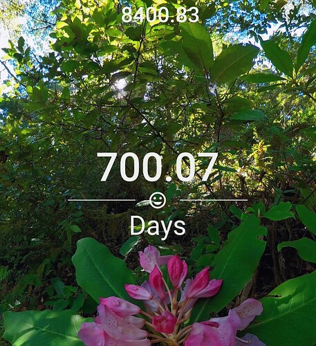 Screenshot_20240714_093949_Sober Time