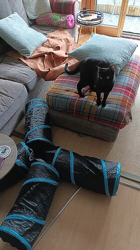 IMG_20250222_102831_034~2