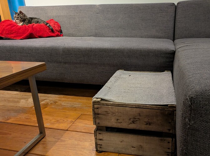 PXL_20250217_190833981