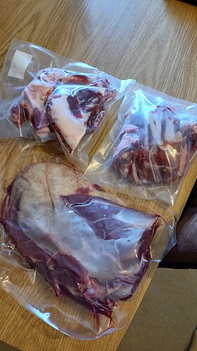 IMG_20251005_103657_311