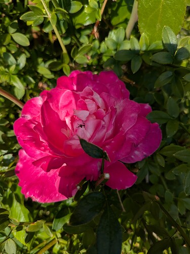 PXL_20250714_163755845