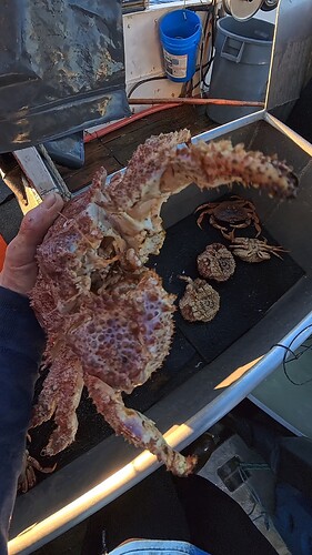 400d64f581052a4ce9ea963a582e3b0b_10377.033333333333_1768668699586