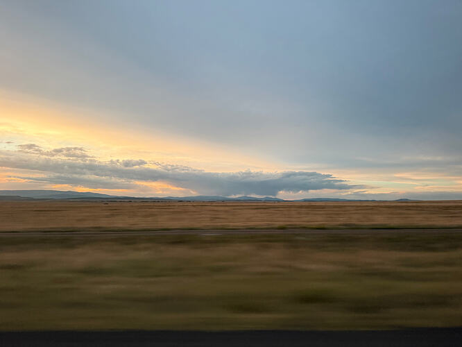 IMG_0491