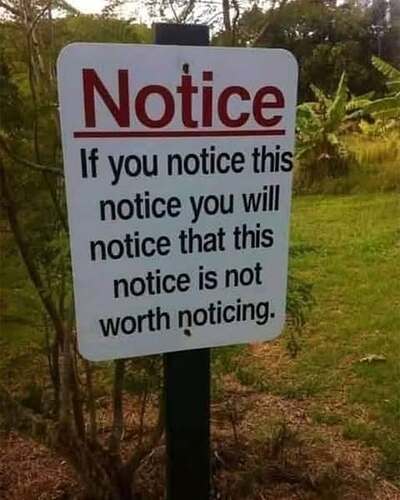 540539111_1196724075829449_5896695588386752463_n