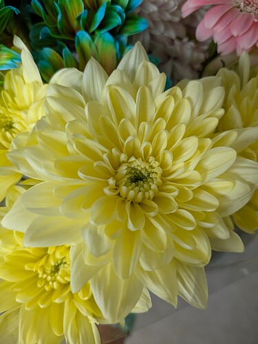 PXL_20250524_083613044