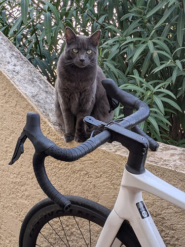 PXL_20260310_143502066 (1)