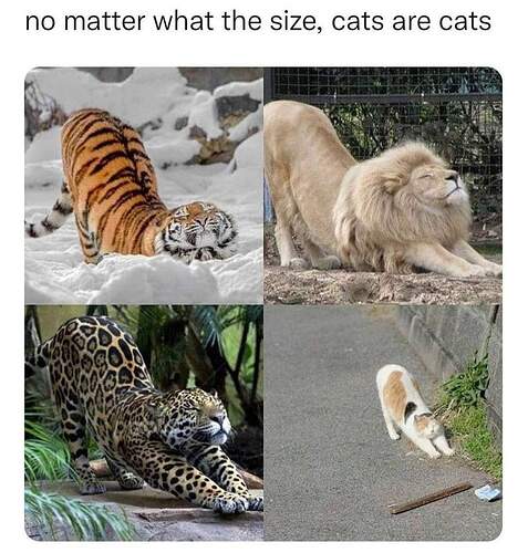 FB_IMG_1643500005045