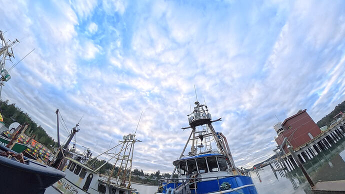 VID_20251211_083827_00_010_2026-02-01_10-07-12_screenshot