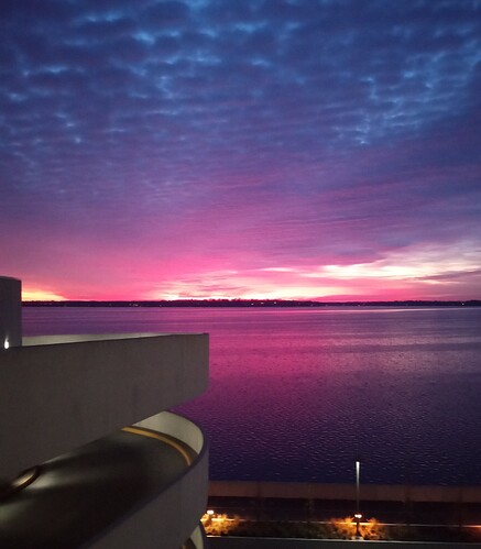 IMG_20251124_063247806