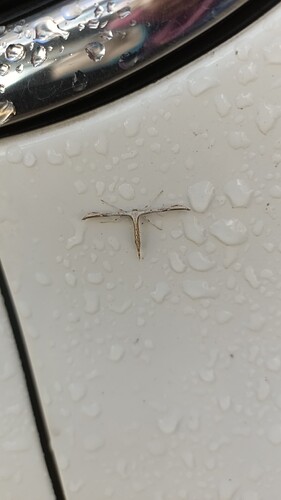 IMG_20250929_092908_329