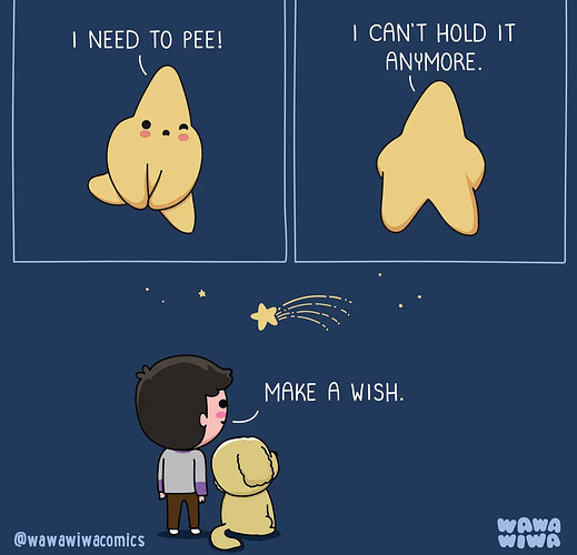 1000079237
