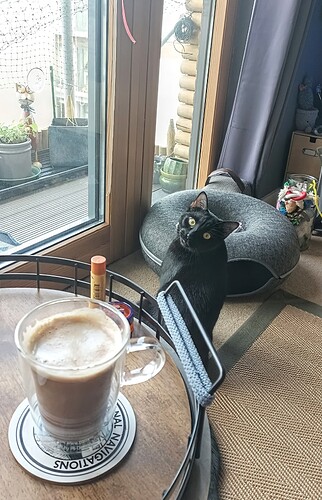 IMG_20250129_100946_764~2