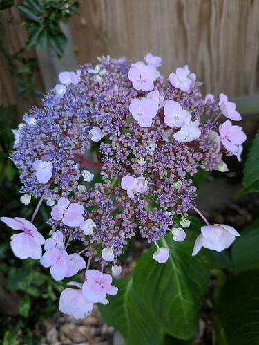 PXL_20250714_163231395