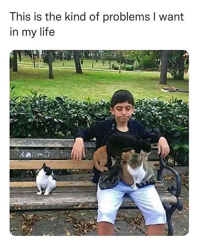 wholesome-memes-funny-51-627a686d3f275__700