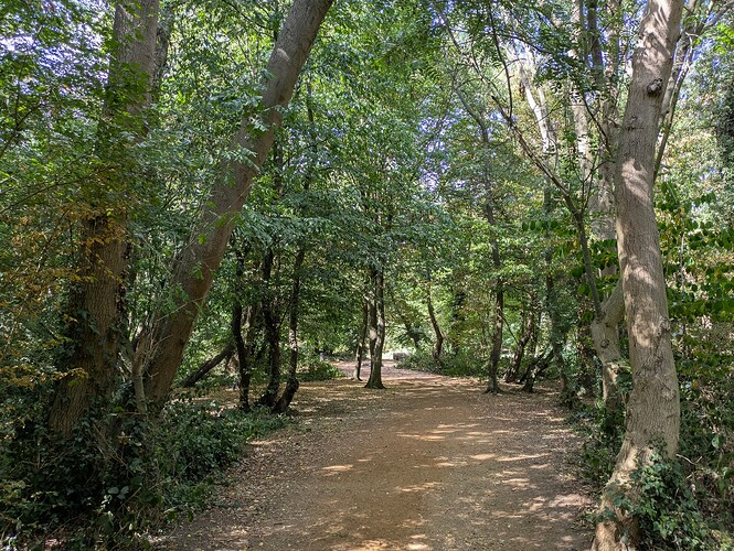 PXL_20250828_131228794