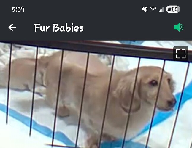 Screenshot_20260305_055925_Blink