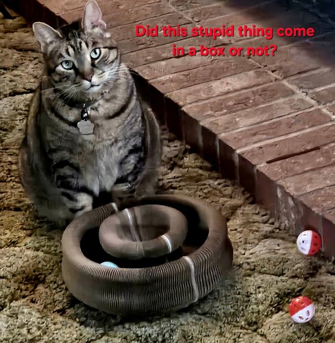 15351