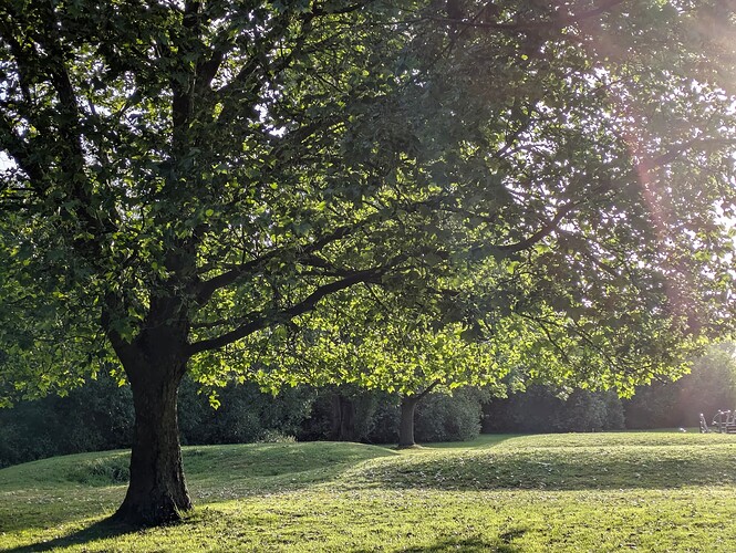 PXL_20250528_052225991