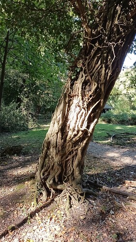 IMG_20250925_112332_320