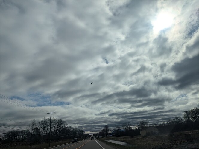 PXL_20250331_144634206