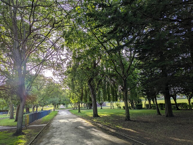 PXL_20250528_052041107