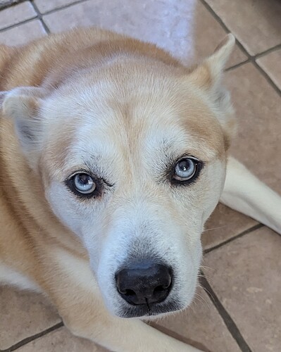 PXL_20260227_193901814