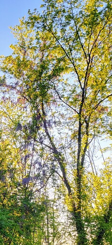 Screenshot_20250521_083606_Photos