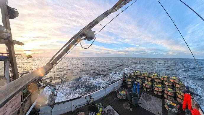 VID_20251213_083422_00_017_020_2026-02-04_05-45-42_screenshot