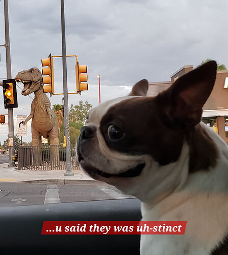 20230726_045605(1)