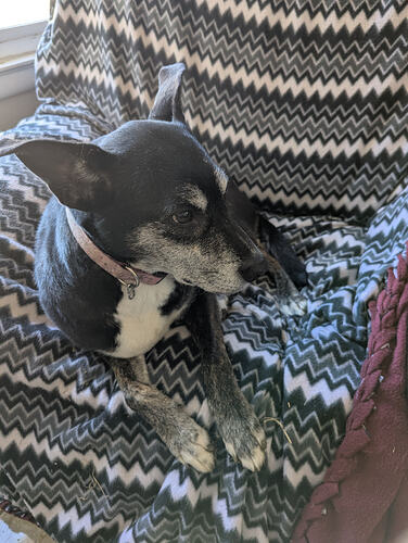 PXL_20260227_192713790