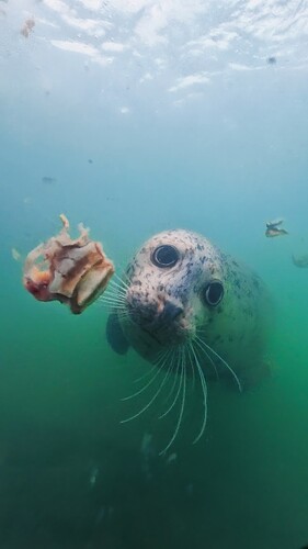 5e7490ef8215ed823a1f7f7a18eb8b65_233499.93333333332_1764979490428