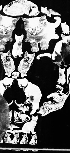 Picsart_25-08-07_20-48-54-777