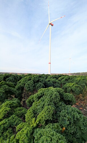 PXL_20251106_092654282~2