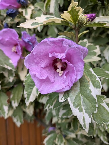 PXL_20250714_163423845