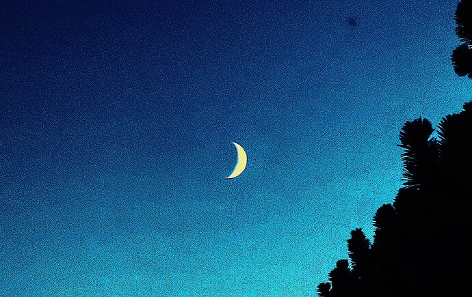 6CD65D3C-E959-41CF-9057-38D32E7F3206_VSCO_VSCO