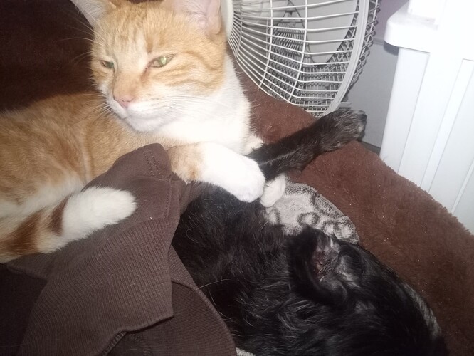 IMG_20251022_140003_009