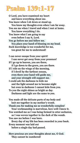 cc732a599183ce4e315251bde59e023c